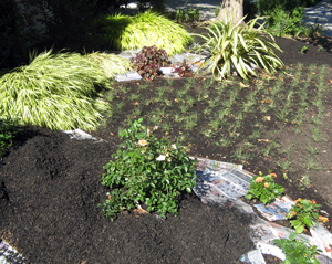 6a00e553af986f88340115722a4f43970b-320wi