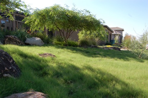 UC%20Verde%20meadow copy