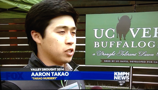 kmph_ucverde_aarontakao