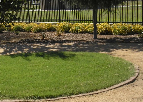 ucverde_aug2012_takaonursery