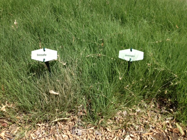 comparison.day1.4hours